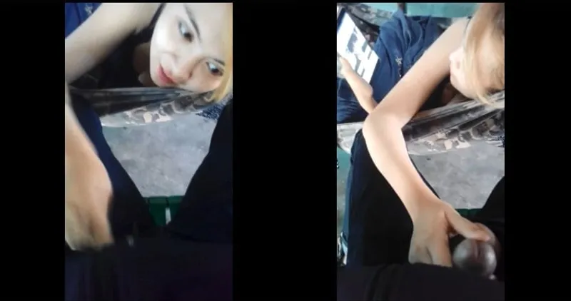 Bồ tinh trùng nghịch